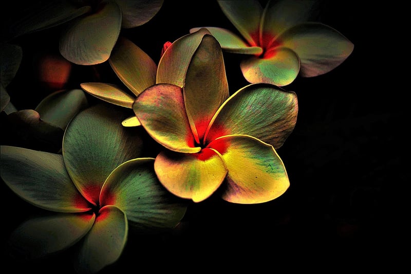 Uplighting